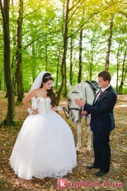 "WeddingStudioWS"