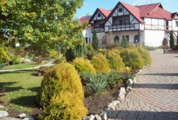 Лісова пісня
