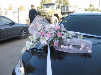 Лілія 